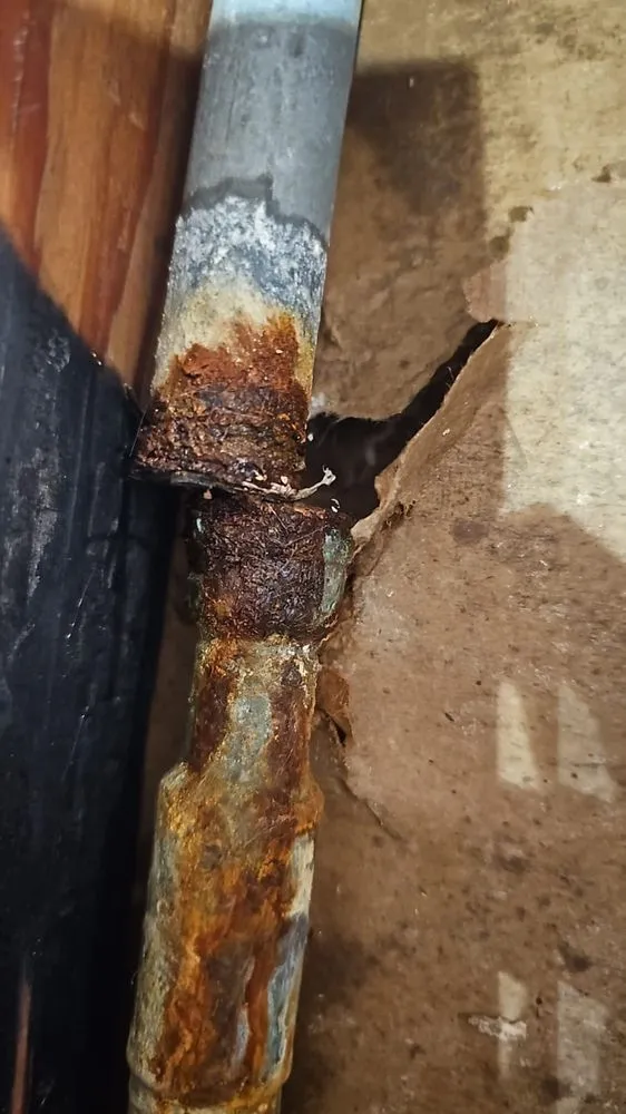 Slide of Plumber Duck