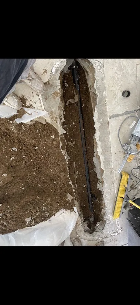 Slide of Plumber Duck