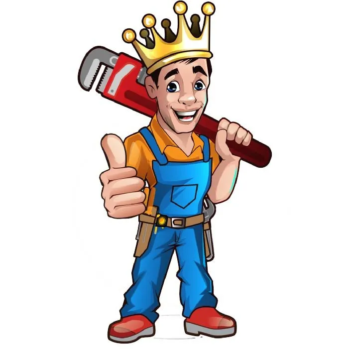 Slide of Plumber Kings