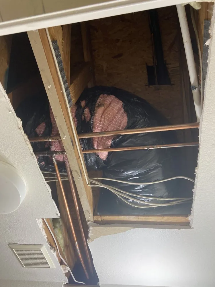 Slide of Plumber Near Me S.D.