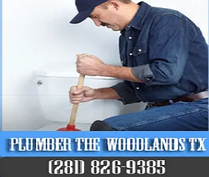 Plumber The Woodlands Logo