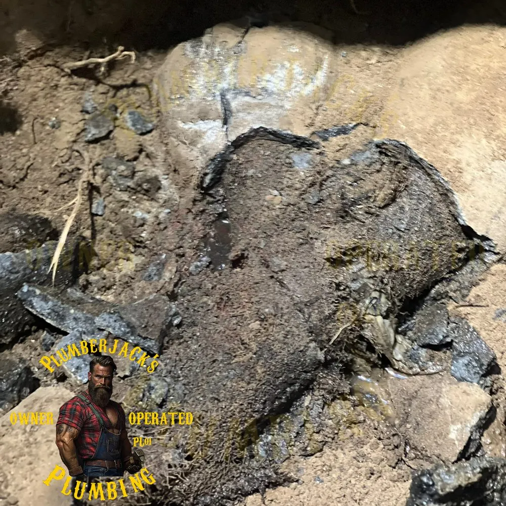 Top-rated plumbing repair experts serving Sammamish, WA - Plumberjacks Plumbing