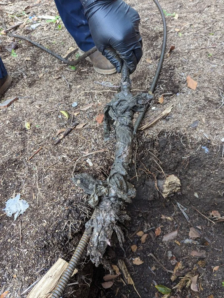 Slide of Plumbers Near Me