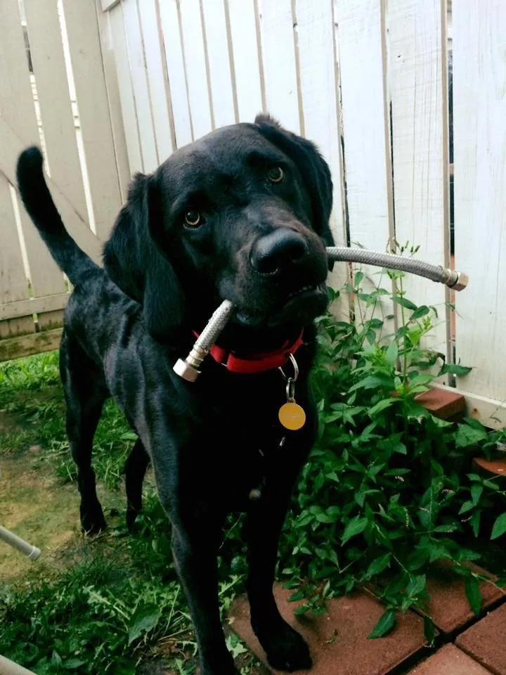 Slide of Plumbers of America LLC