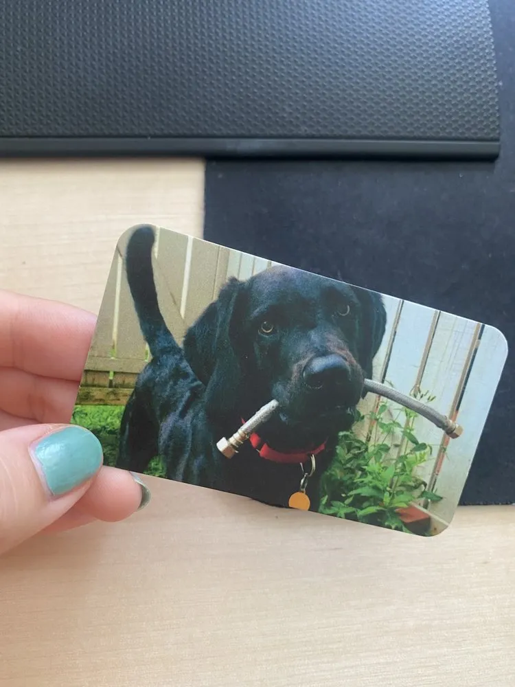 Slide of Plumbers of America LLC