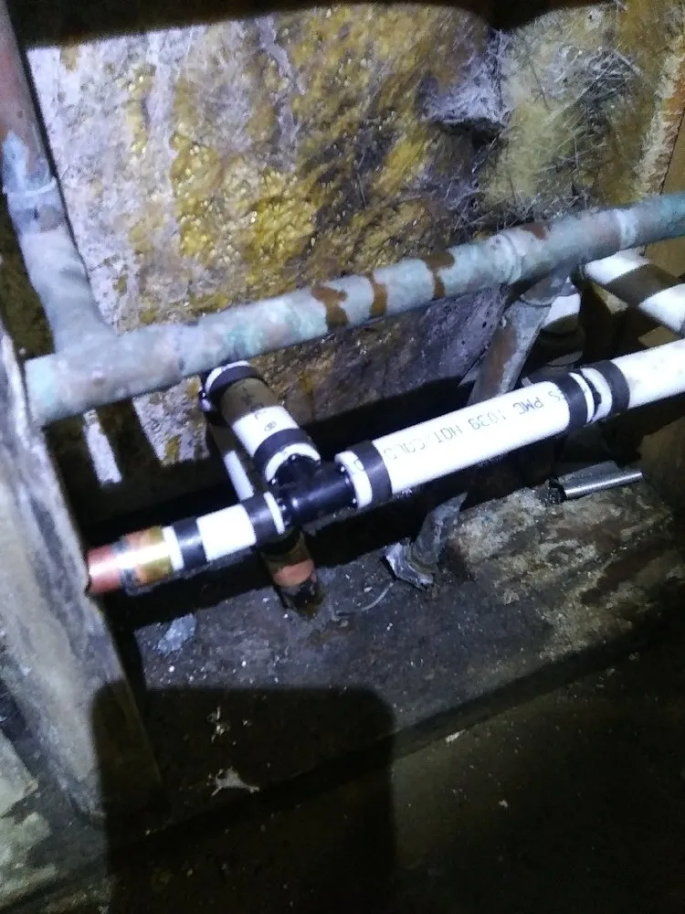 Slide of Plumber's Smile