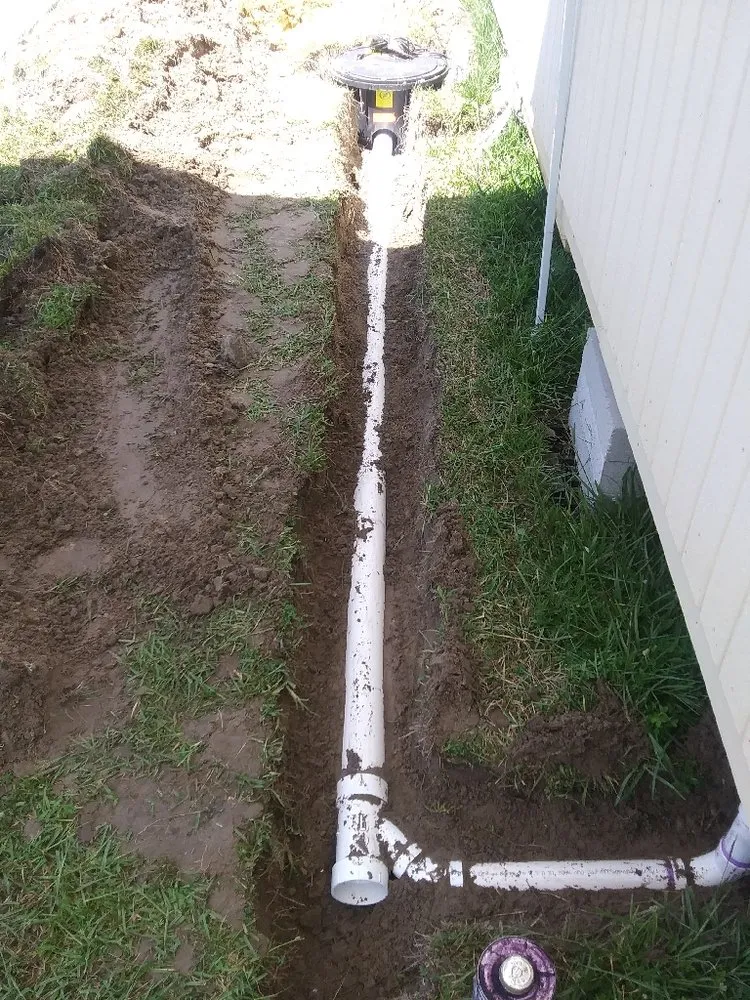 Slide of Plumber's Smile