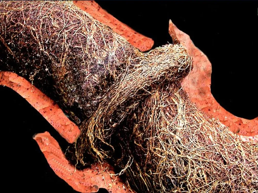 Slide of Plumbing & Rooter 4 Less