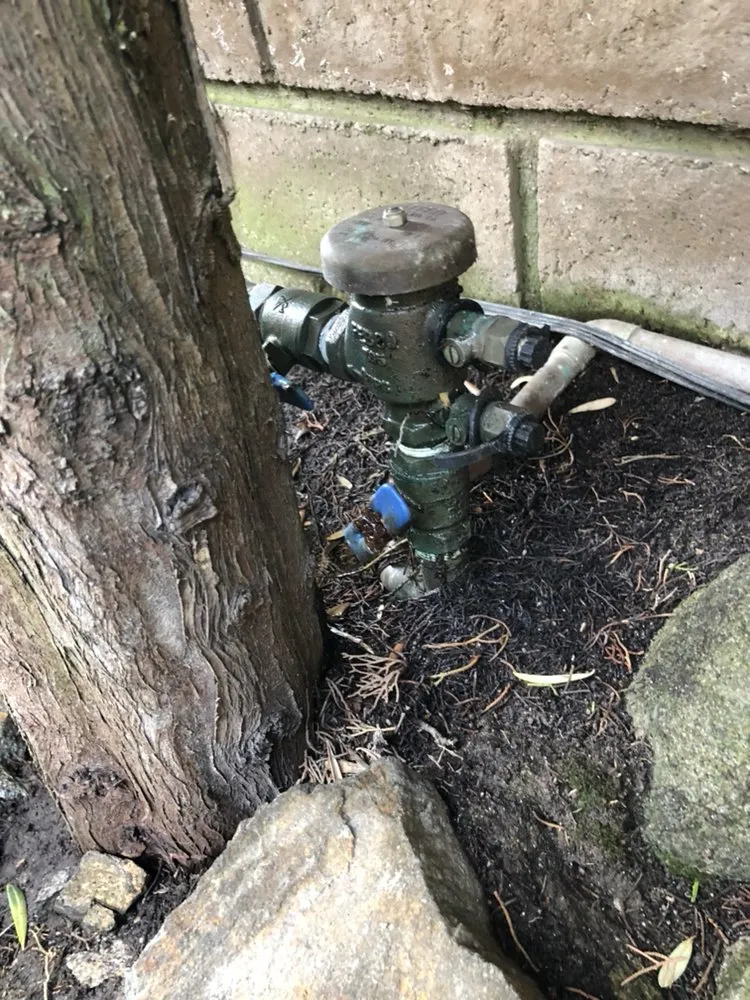 Slide of Plumbing & Rooter 4 Less