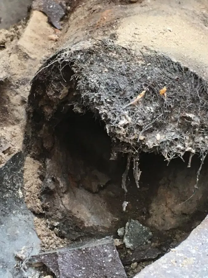 Slide of Plumbing & Rooter 4 Less