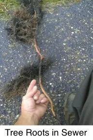 Slide of Plumbing 911