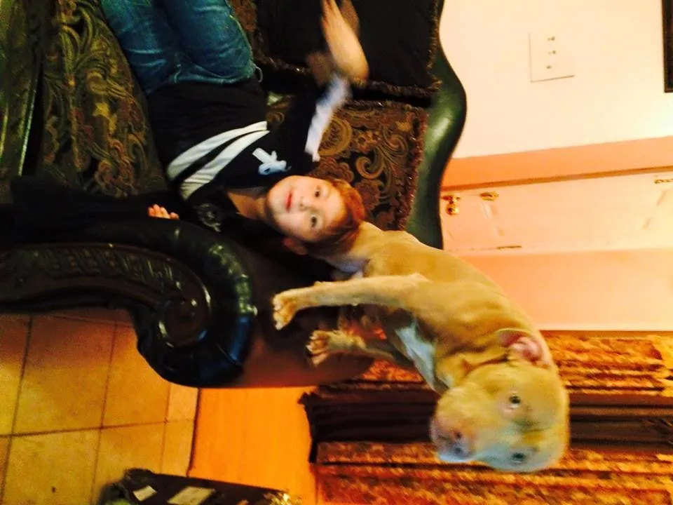 Slide of Plumbing and Crawlspace Repair