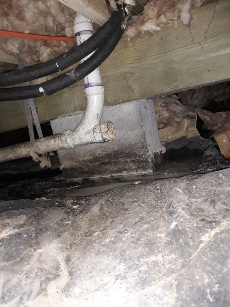 Slide of Plumbing and Crawlspace Repair