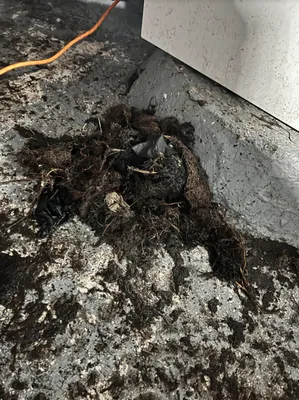 Plumbing and Draincare