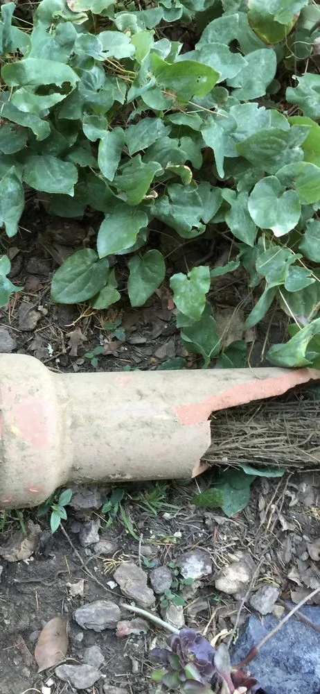 Reliable drain cleaning service in San Leandro, CA - Plumbing and Rooter Specialist