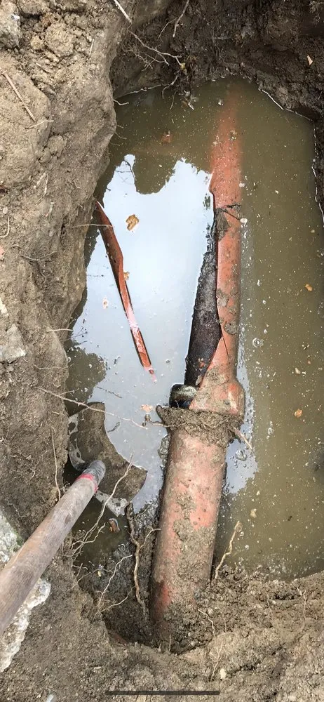 Expert drain cleaning for homes in San Leandro, CA by Plumbing and Rooter Specialist