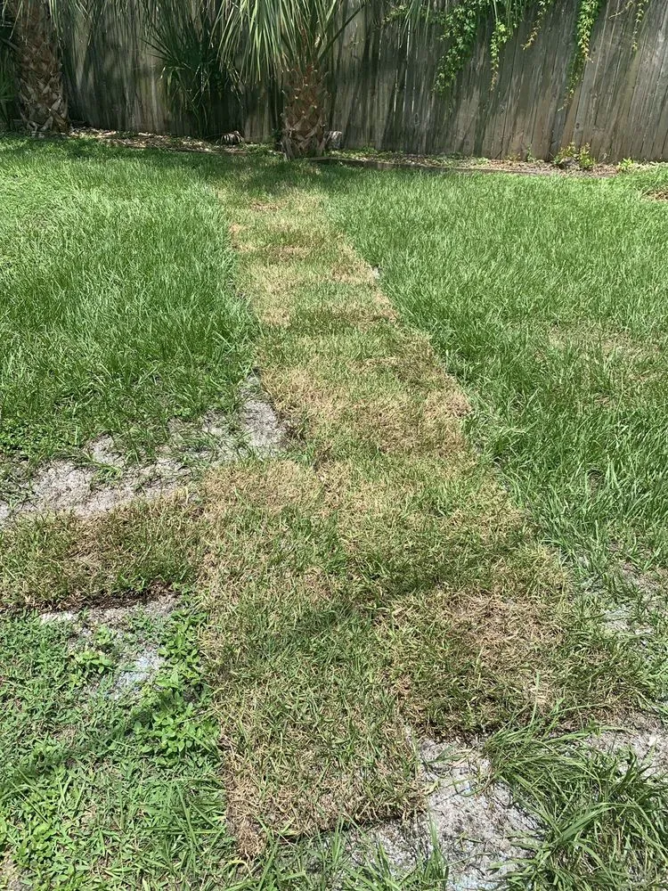 Slide of Plumbing By Paul