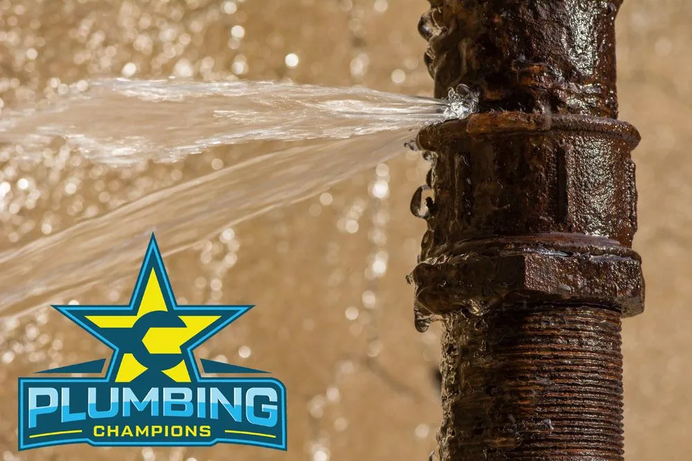 Slide of Plumbing Champions