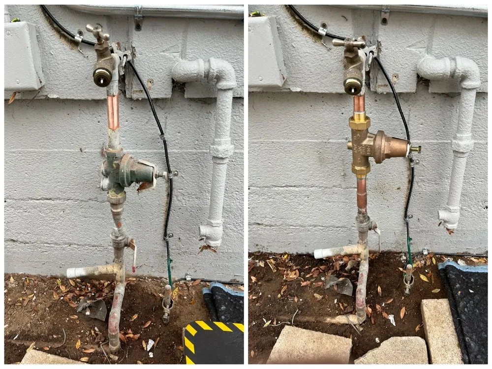 Slide of Plumbing Crow