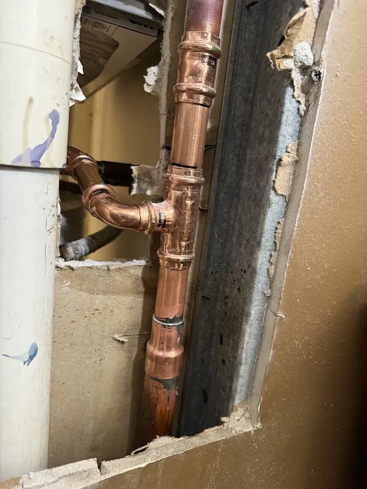 Slide of Plumbing Detectives