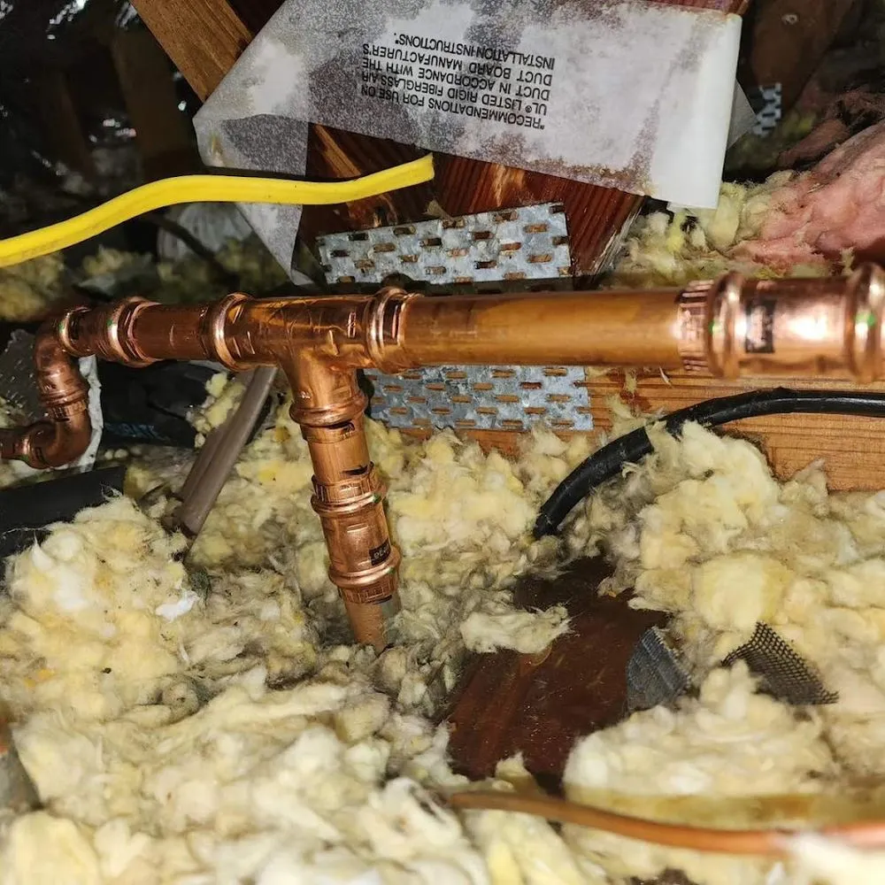 Slide of Plumbing Detectives