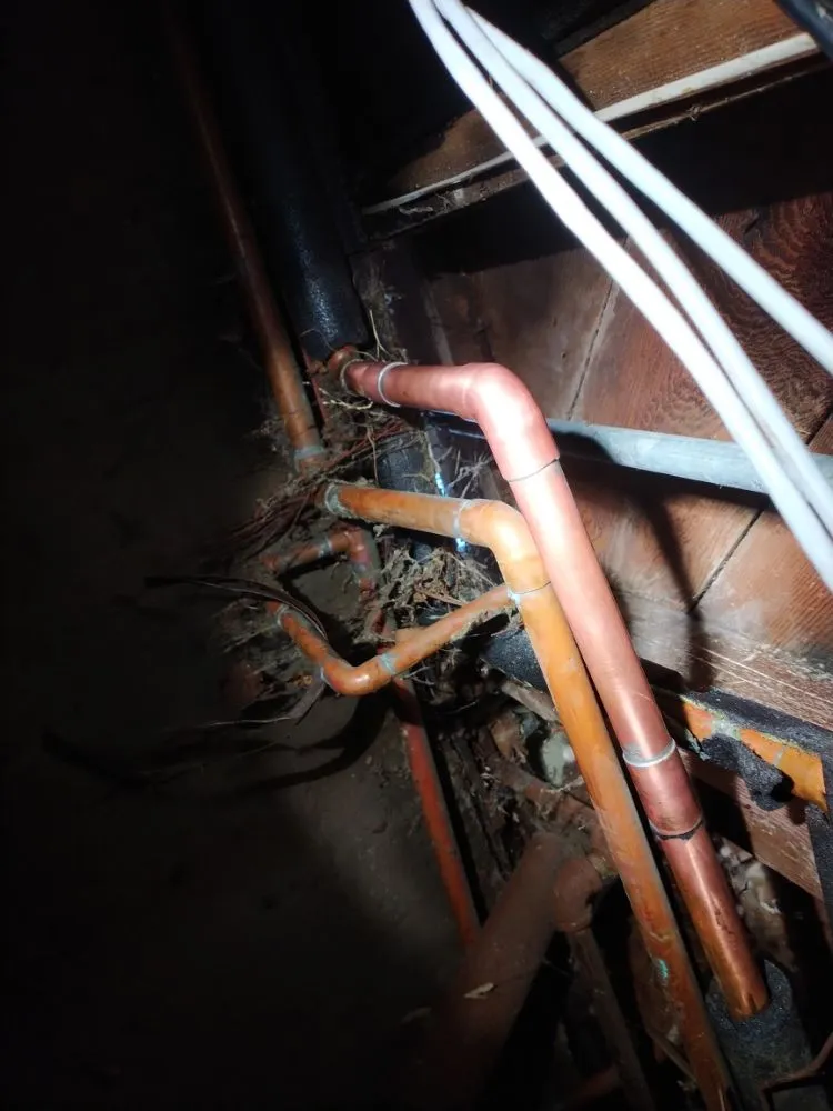 Slide of Plumbing Doctor 831