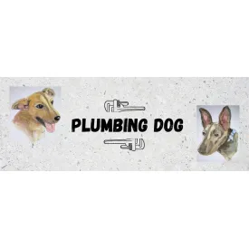Slide of Plumbing Dog