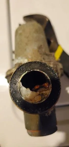 Slide of Plumbing Dog