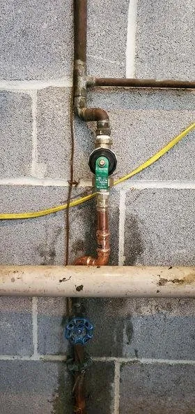 Slide of Plumbing Dog