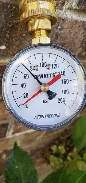 Slide of Plumbing Dog