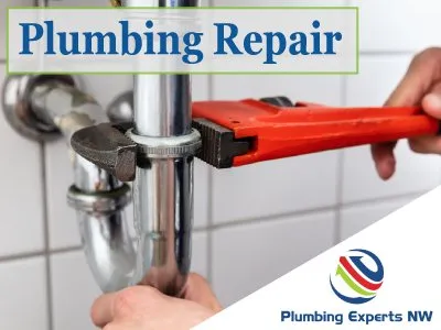 Slide of Plumbing Experts NW
