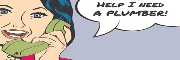 Plumbing For Less Logo