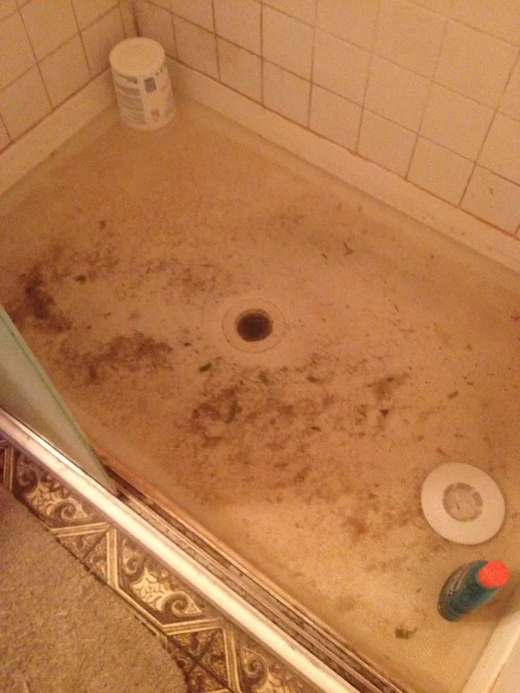 Slide of Plumbing For Less