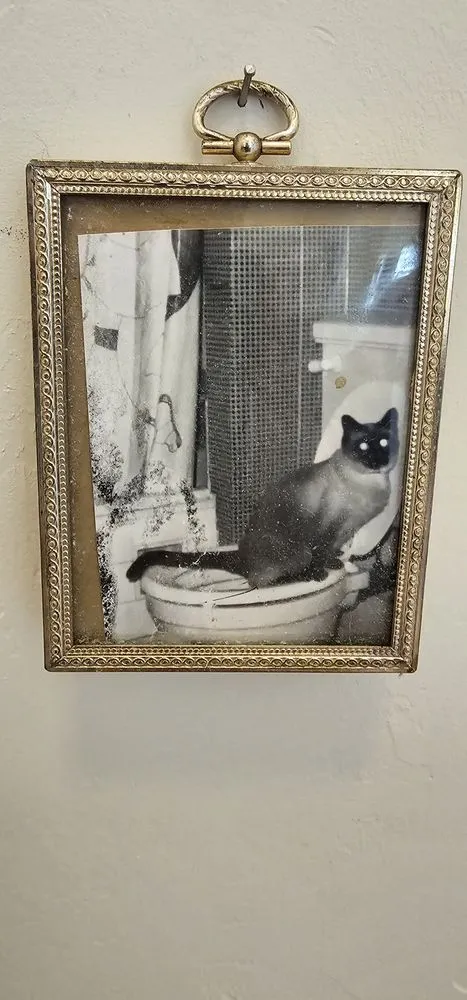 Slide of Plumbing Guild