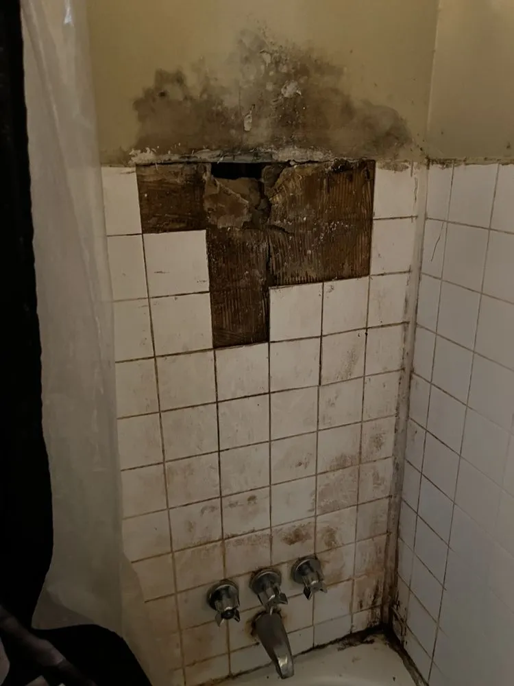 Slide of Plumbing Guyz