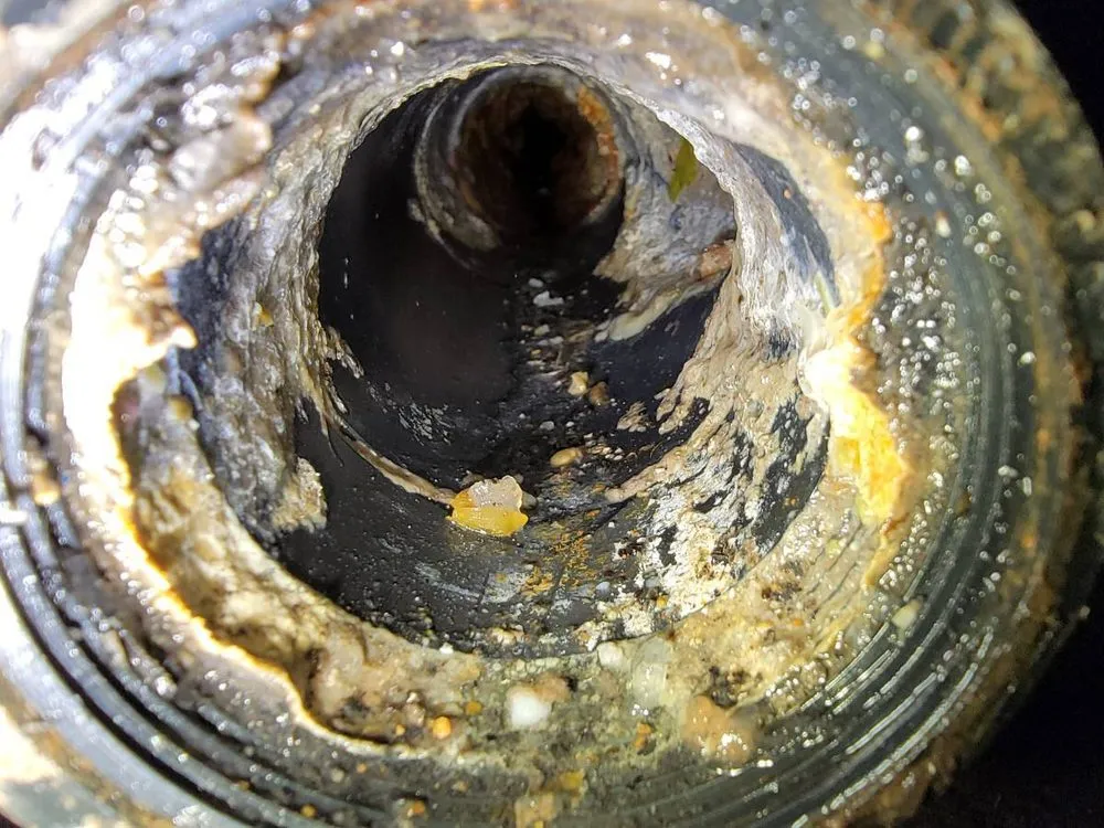 Expert leak detection in Alameda, CA by Plumbing Heroes: Alameda