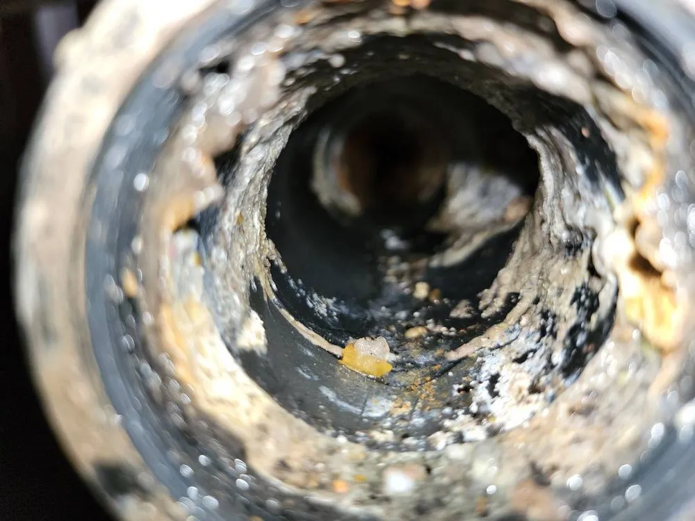 Slide of Plumbing Heroes: Alameda