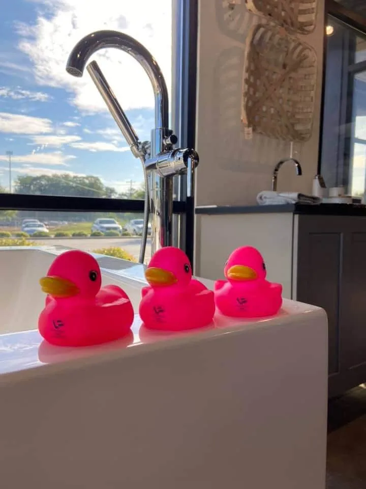 Slide of Plumbing In Pink