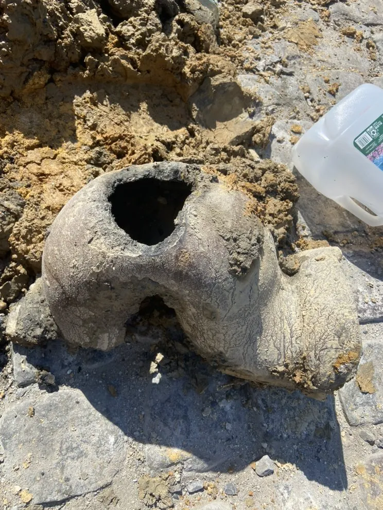 Slide of Plumbing Pals