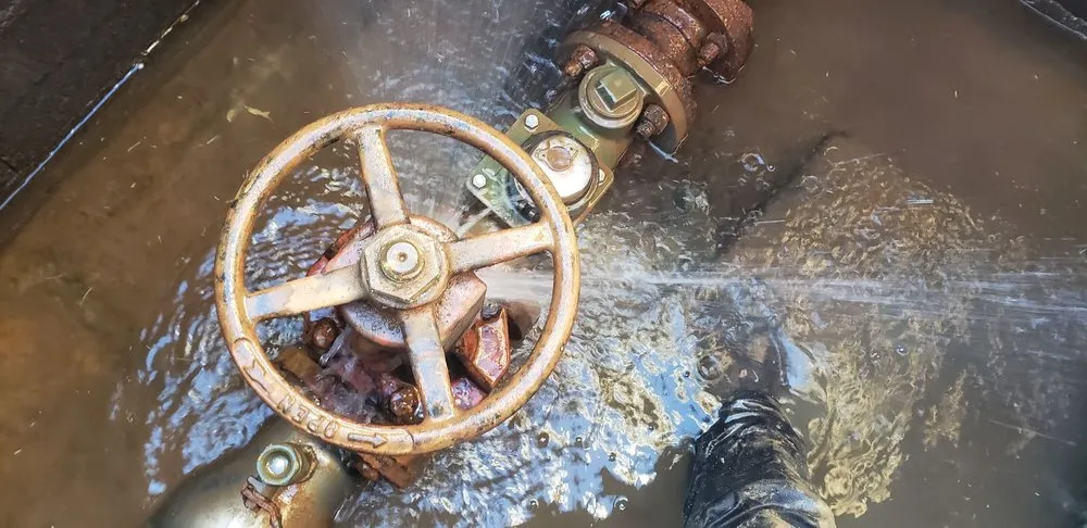 Affordable water heater service for homes in Abbeville, SC by Plumbing Paramedic 911