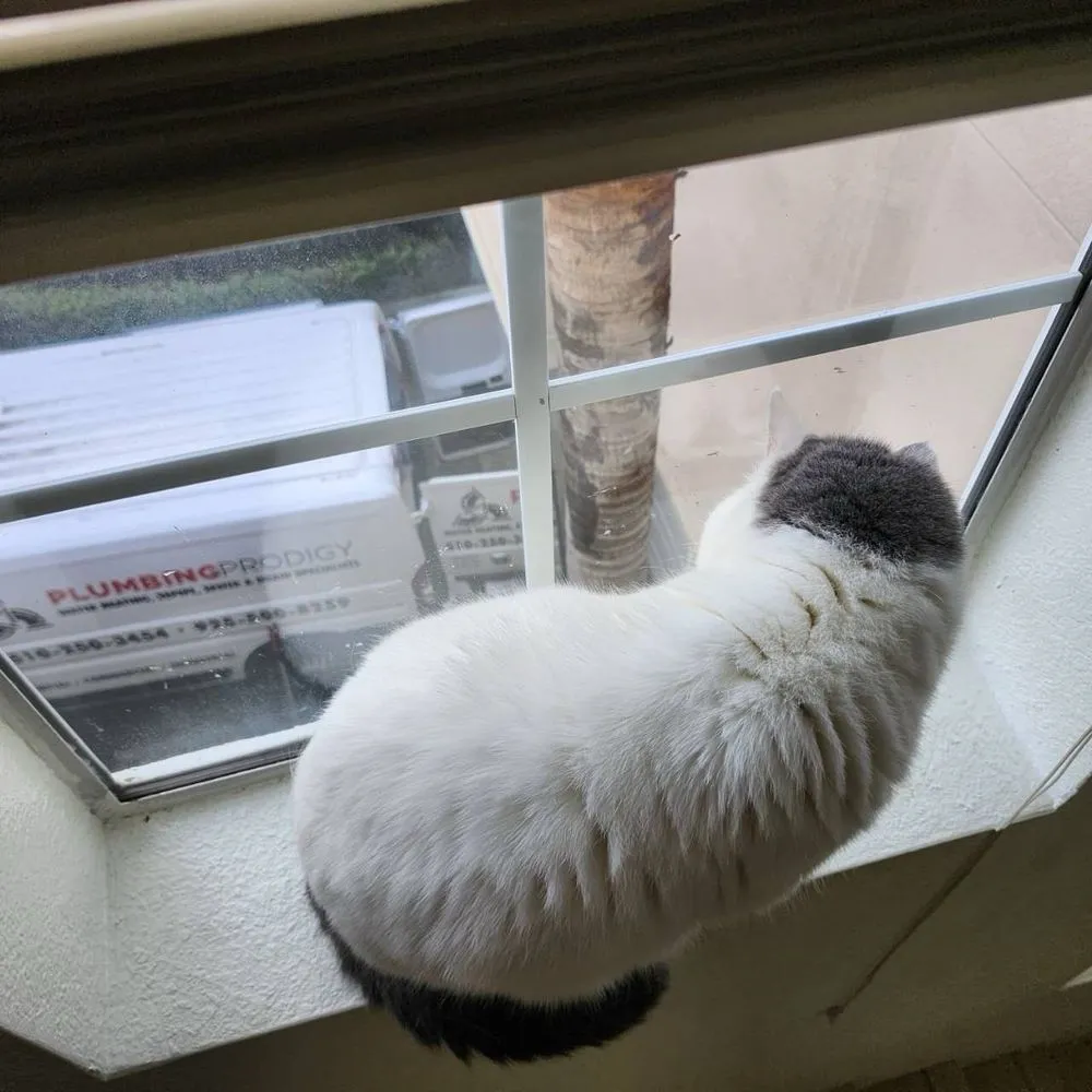 Slide of Plumbing Prodigy