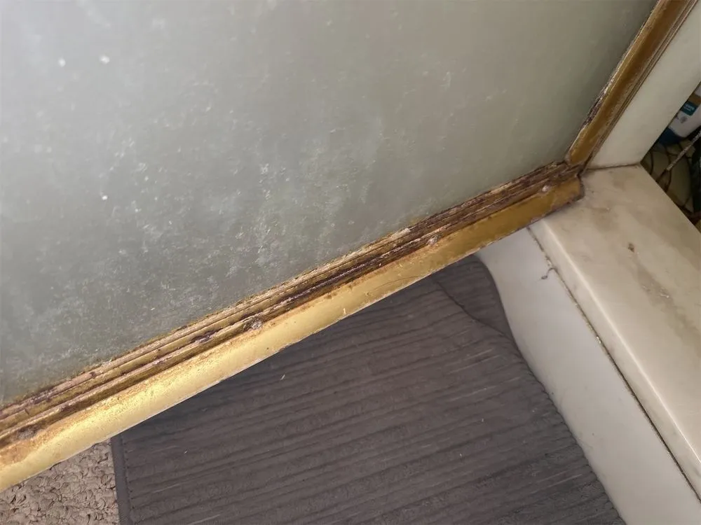 Slide of Plumbing Professionals