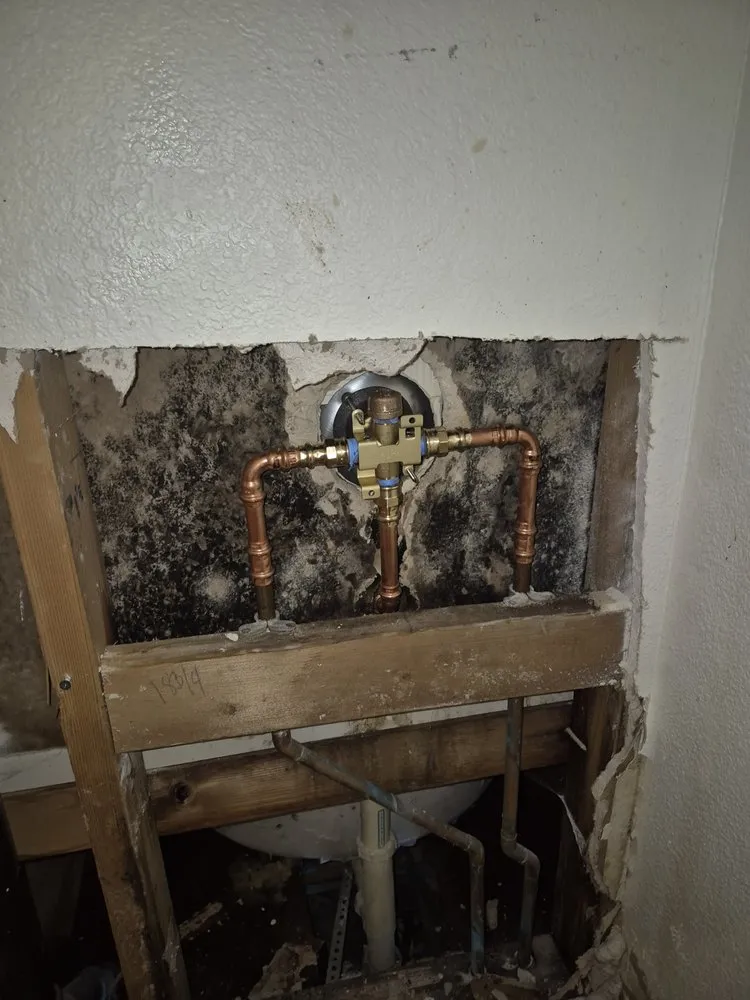 Slide of Plumbing Pros