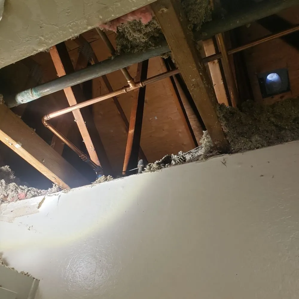 Slide of Plumbing Pros