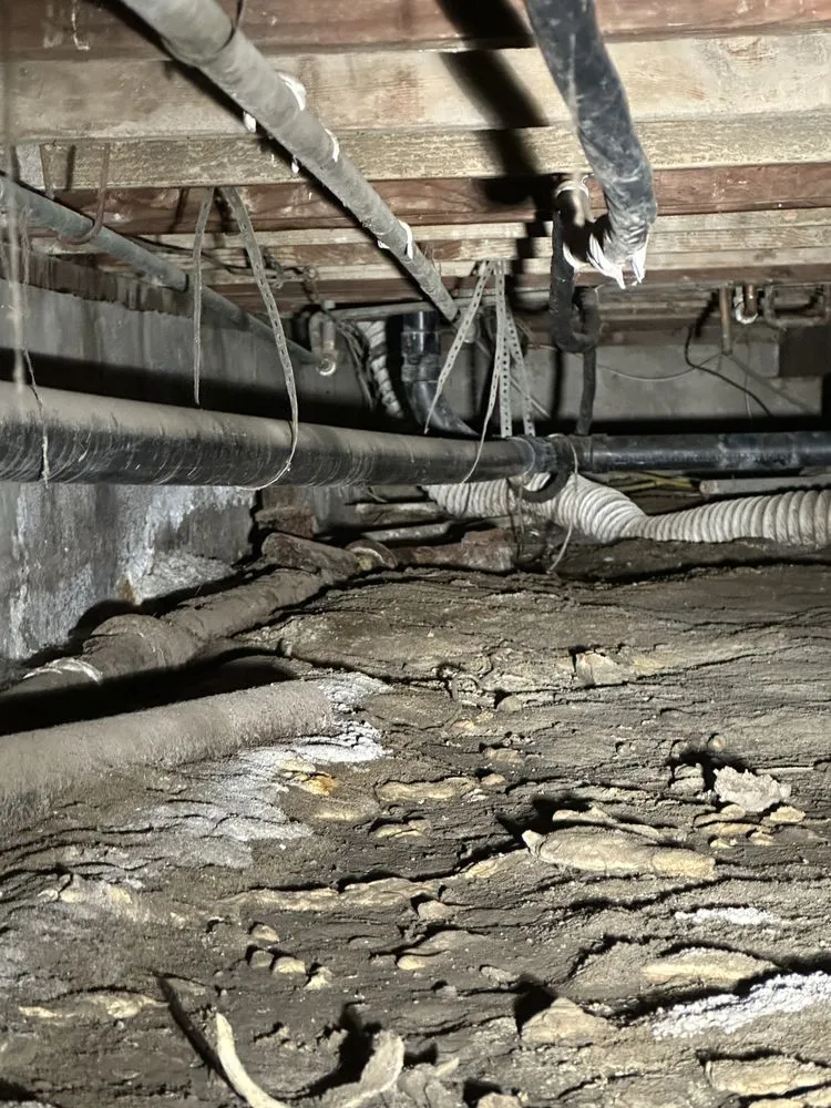 Slide of Plumbing Services Leo