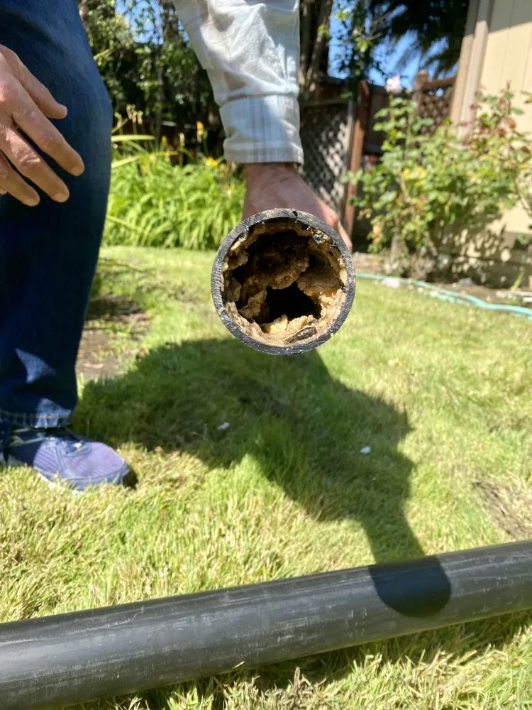 Professional leak detection experts serving Concord, CA - Plumbing Solutions