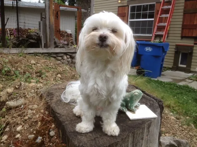 Slide of Plumbing Solutions