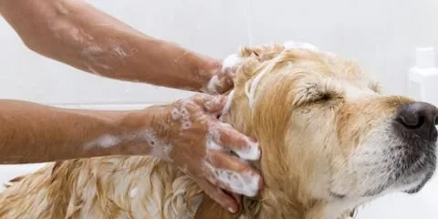 Reliable pipe repair for homes in Kailua-kona, HI by Plumbing Strategies