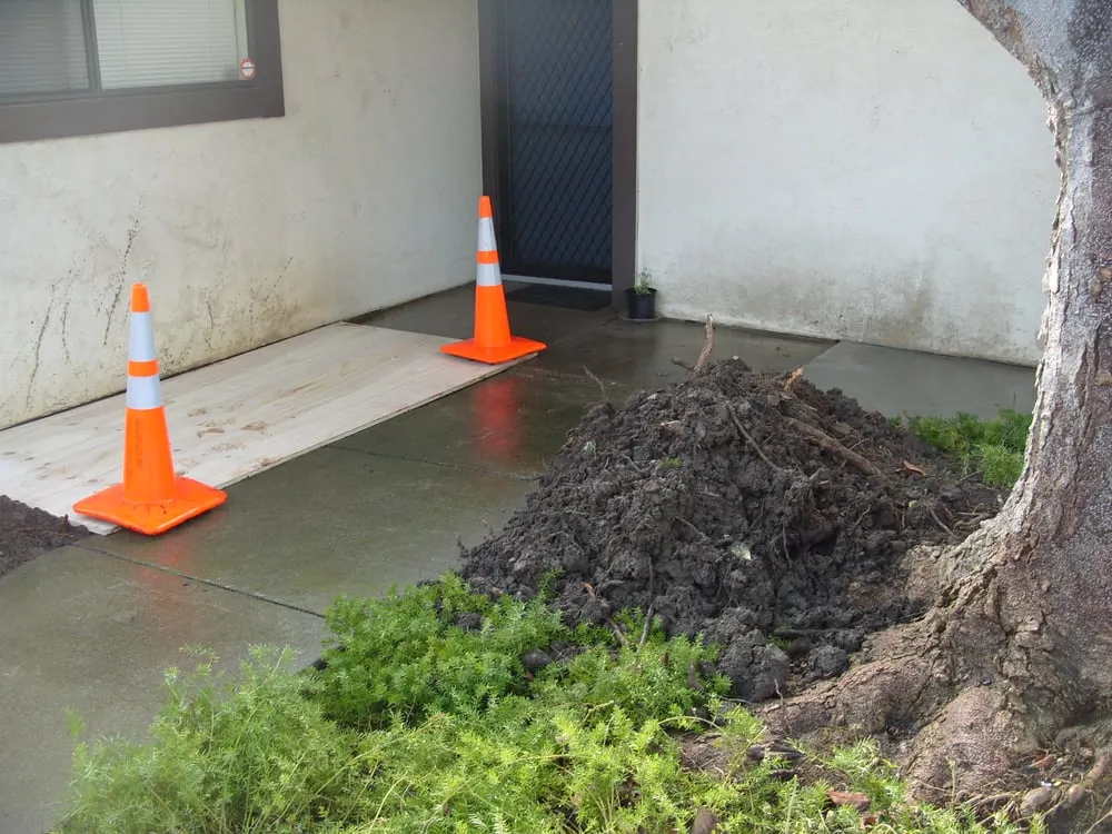 Slide of Plumbing The Bay