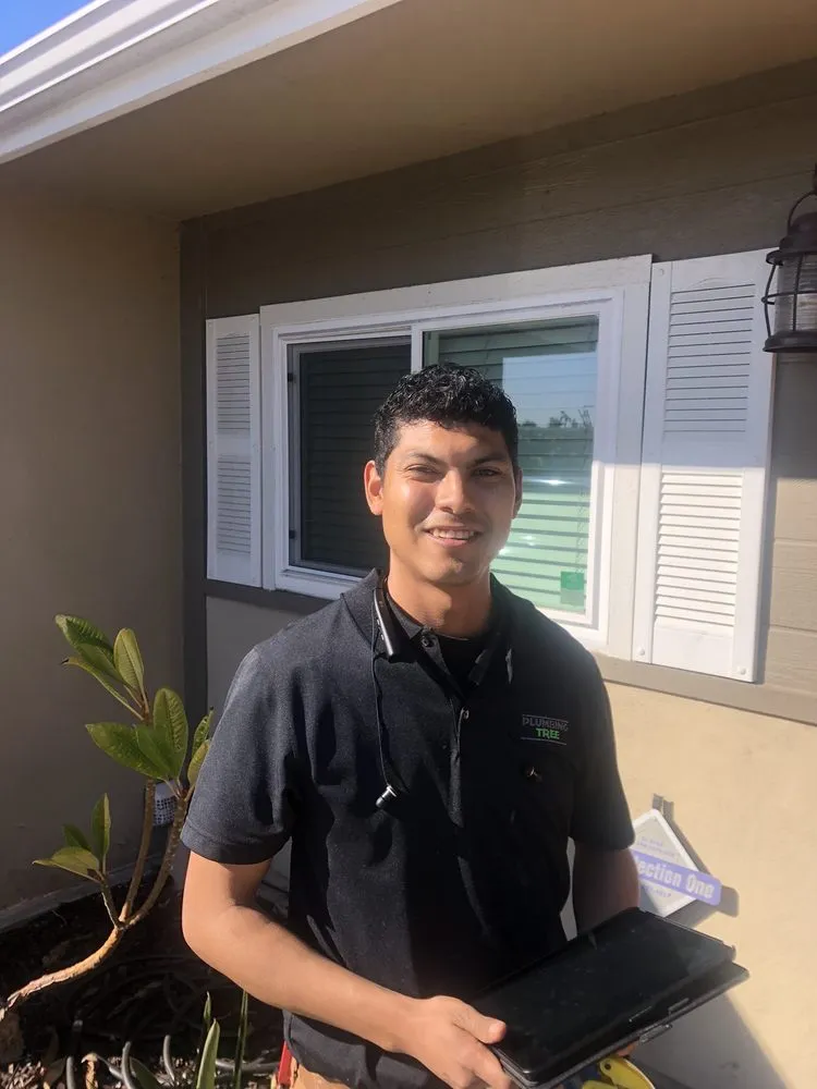 Slide of Plumbing Tree